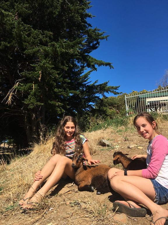 Morella Farmstay Cape Jervis Zewnętrze zdjęcie